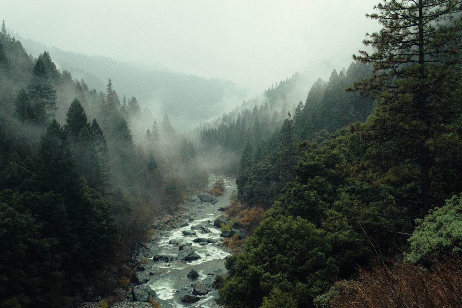 Sustainability Meets Beauty: The Future of Landscaping